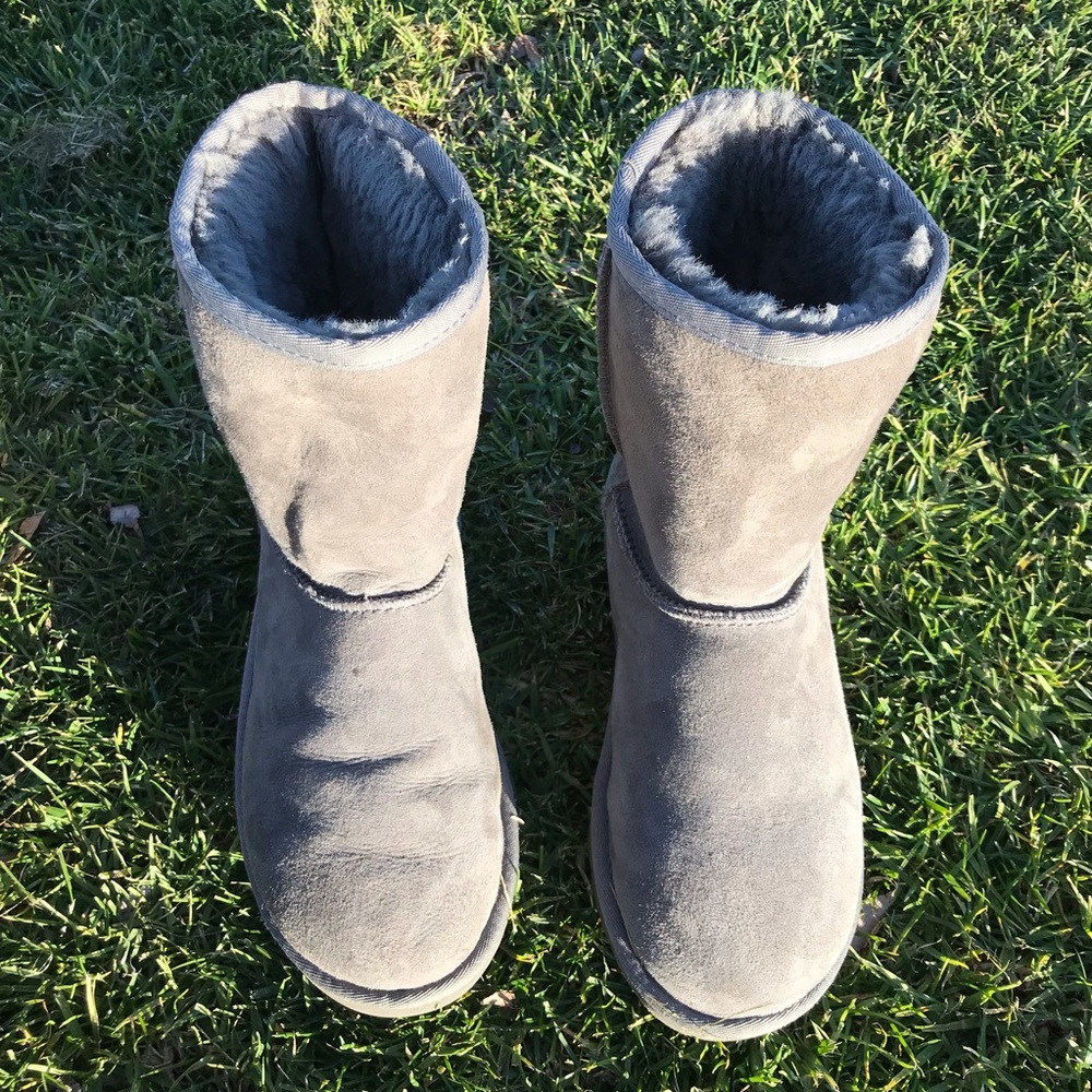 UGG 🔴 Classic Chestnut ugg In Gray